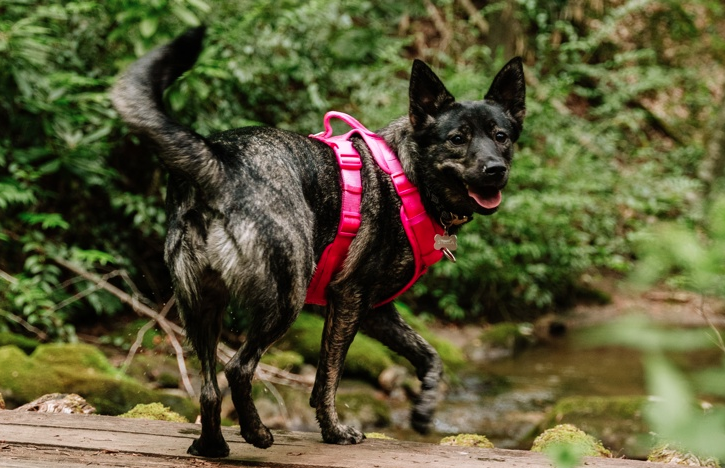 Screenshot at .. PM